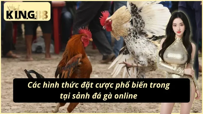 Đá Gà King88 - Nơi Gặp Gỡ Các Chiến Kê Số 1 Thị Trường 4 Một số hình thức đặt kèo đá gà King88