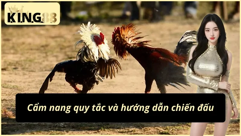 Đá Gà Cựa Dao KING88: Sân Đấu Của Đam Mê Và Chiến Thuật 4 Nguyên tắc vàng trong đá gà cựa dao KING88