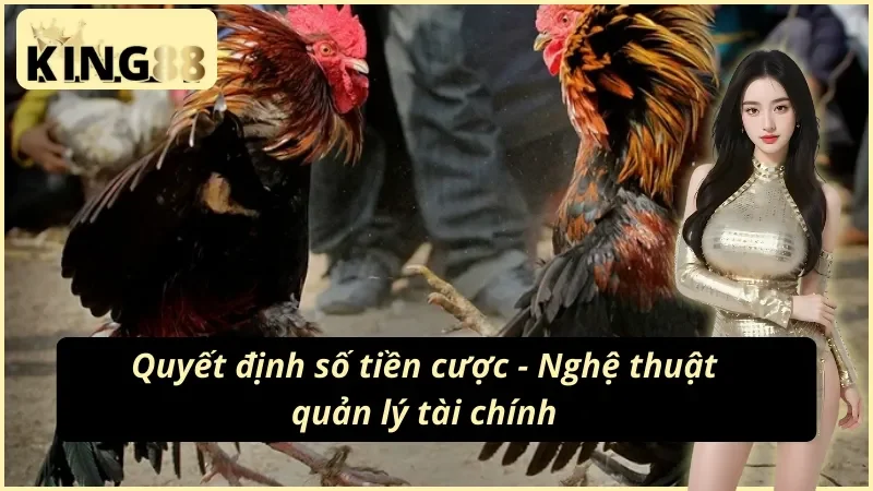 Đá Gà Cựa Dao KING88: Sân Đấu Của Đam Mê Và Chiến Thuật 7 Nghệ thuật quản lý tài chính cùng cao thủ đá gà cựa dao KING88