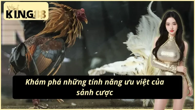 Đá Gà Cựa Sắt KING88 - Cuộc Chiến Đỉnh Cao Của Các Chiến Kê 3 Những lợi thế đặc biệt của đá gà cựa sắt KING88 dành cho người chơi