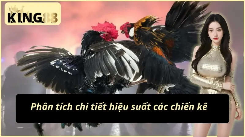 Đá Gà Cựa Sắt KING88 - Cuộc Chiến Đỉnh Cao Của Các Chiến Kê 4 Hệ thống phân tích chi tiết của đá gà cựa sắt KING88