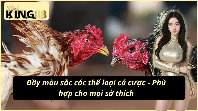 Đá Gà Cựa Sắt KING88 - Cuộc Chiến Đỉnh Cao Của Các Chiến Kê 5 Đáp ứng nhu cầu mọi cược thủ nhà đá gà cựa sắt KING88