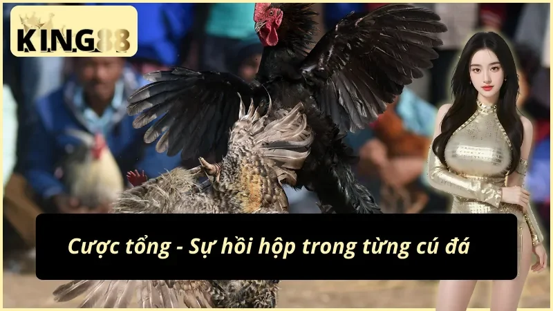 Đá Gà Cựa Sắt KING88 - Cuộc Chiến Đỉnh Cao Của Các Chiến Kê 6 Chìm đắm trong sự hồi hộp cùng đá gà cựa sắt KING88