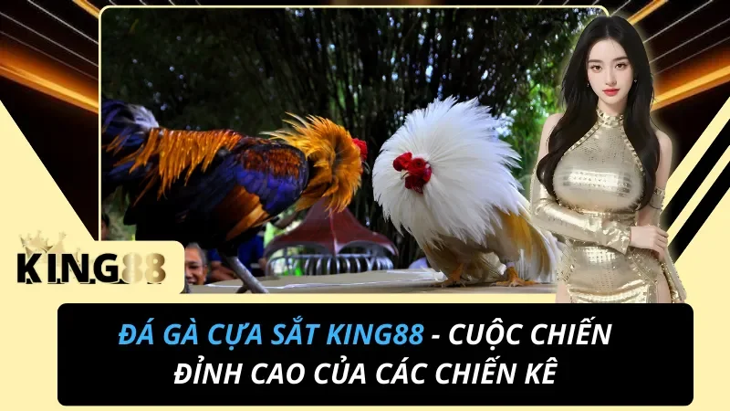 Đá Gà Cựa Sắt KING88 - Cuộc Chiến Đỉnh Cao Của Các Chiến Kê 3 Đá Gà Cựa Sắt