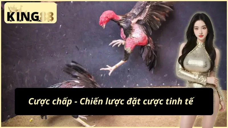 Đá Gà Philippines KING88: Đấu Trường Của Những Chiến Kê 4 Chiến lược đặt cược đá gà Philippines KING88 tinh tế