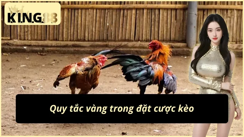 Đá Gà Philippines KING88: Đấu Trường Của Những Chiến Kê 5 Bí quyết đặt cược kèo đá gà Philippines KING88