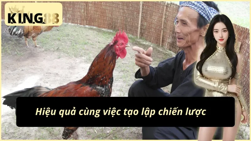 Đá Gà Philippines KING88: Đấu Trường Của Những Chiến Kê 6 Hiệu quả cùng chiến lược cược đá gà Philippines KING88