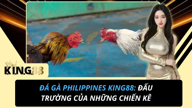 Đá Gà Philippines KING88: Đấu Trường Của Những Chiến Kê 1 Đá Gà Philippines