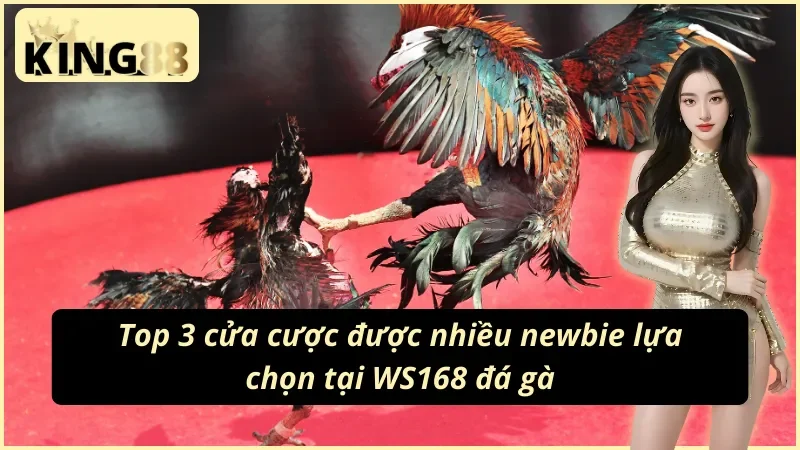 WS168 Đá Gà KING88 - Nơi Cung Cấp Nhiều Trận Đá Gà Hấp Dẫn 6 Các cửa cược cơ bản tại WS168 đá gà KING88